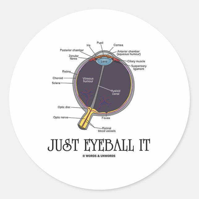 Sticker Rond Juste Eyeball It (Eye Anatomy Approximation Dit) (Devant)