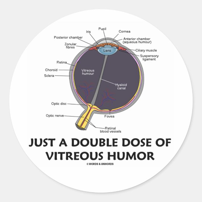 Sticker Rond Juste Une Double Dose D'Humour Vitreux (Anatomie D (Devant)