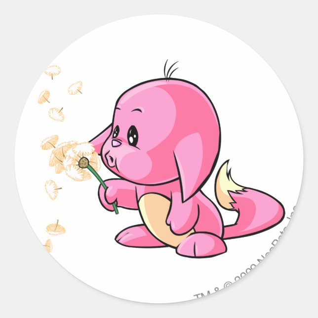 Sticker Rond Kacheek Pink (Devant)