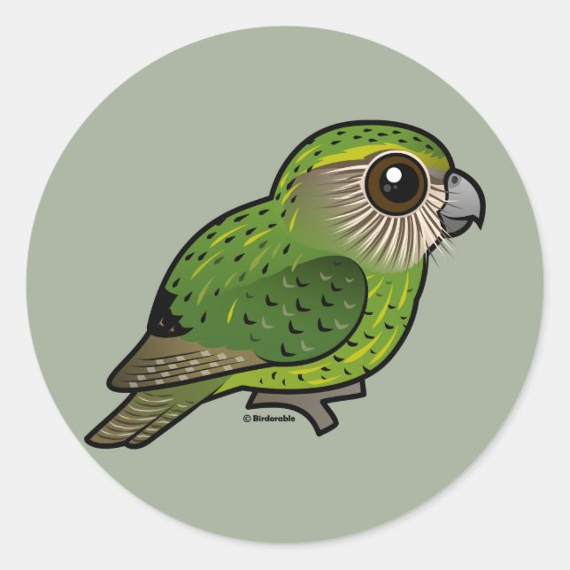 Sticker Rond Kakapo Birdorable (Devant)