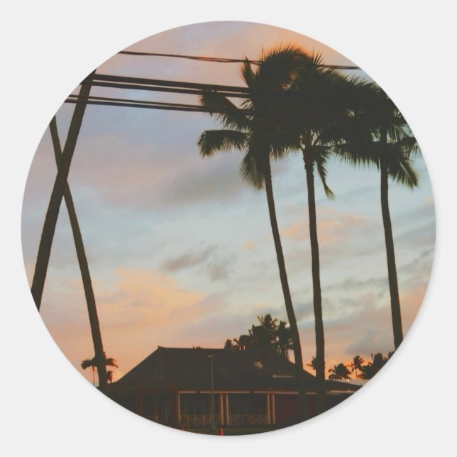 Sticker Rond Kauai Palms (Devant)
