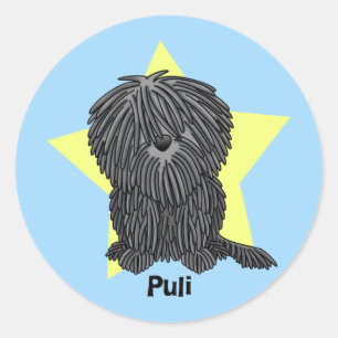 Sticker Rond Kawaii Star Puli