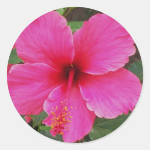Sticker Rond Ketmie