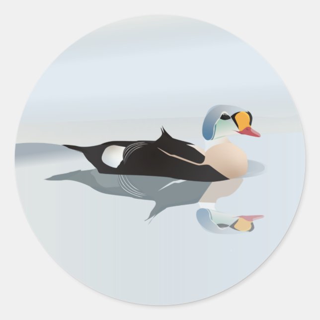 Sticker Rond King Eider Duck (Devant)
