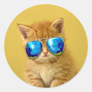 Sticker Rond Kitten cool en lunettes de soleil
