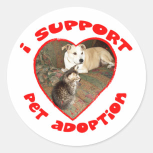 Sticker Rond Kitten d'adoption pour animaux de compagnie avec b