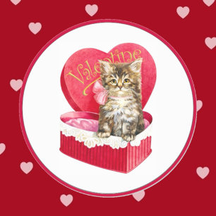 Sticker Rond Kitten dans Candy Box