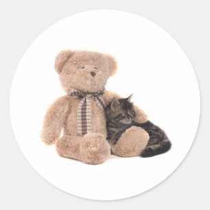 Sticker Rond kitten in the arms of a teddy bear