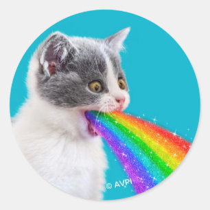 Sticker Rond Kitten Spire vers le haut arc-en-ciel