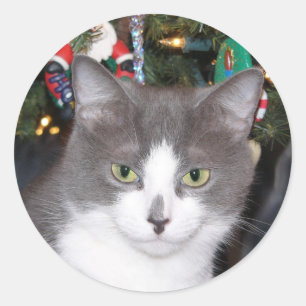 Sticker Rond Kitty de Noël gris et blanc