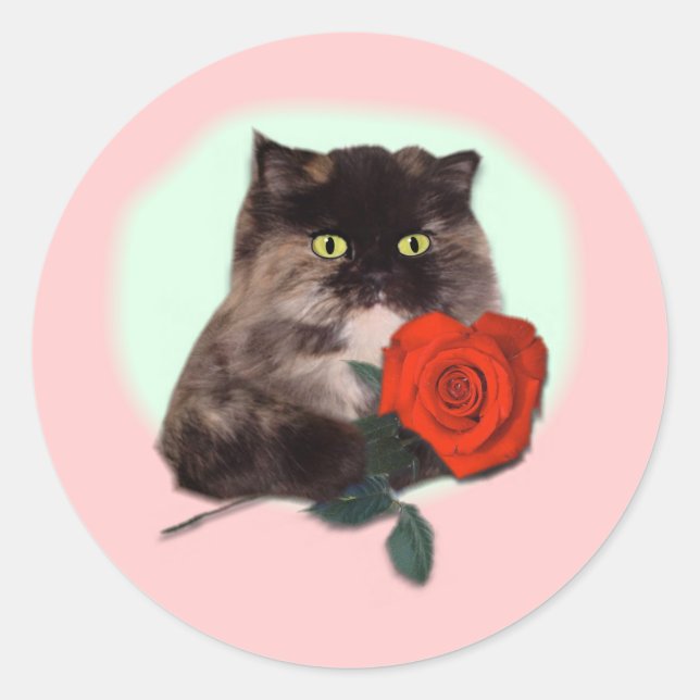 Sticker Rond Kitty persan avec cadeaux et vêtements Roses (Devant)
