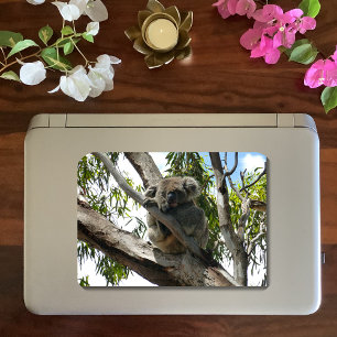 Sticker Rond Koala - Dormir