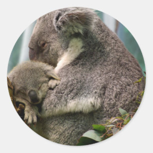 Sticker Rond Koala Maman et Nouveau bébé