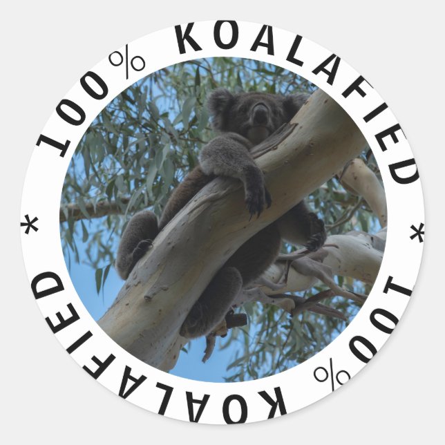 Sticker Rond Koalafied Cute Funny Koala dans un arbre (Devant)