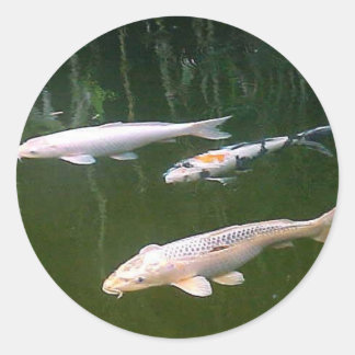 Sticker Rond Koi