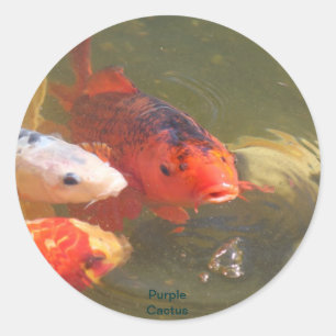 Sticker Rond Koi Fish v.1