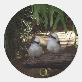 Sticker Rond Kookaburras Rire