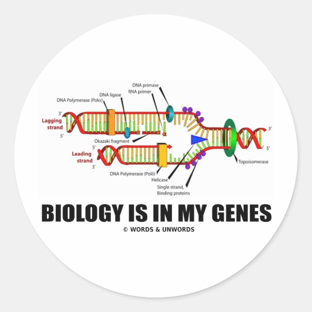 Sticker Rond La biologie est dans mes gènes (réplication de l'A (Devant)