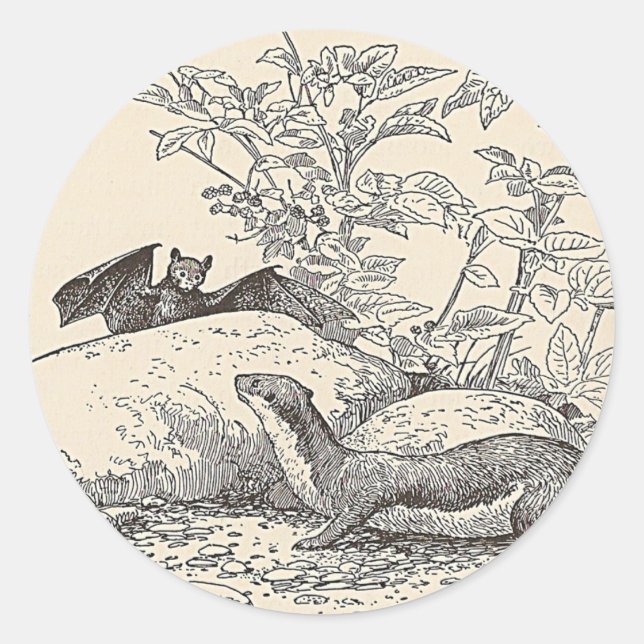 Sticker Rond La chauve-souris et le vison (Devant)