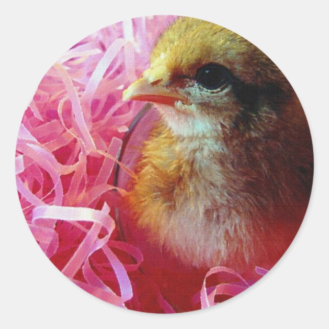 Sticker Rond La Chick dans le verre du vin (Devant)