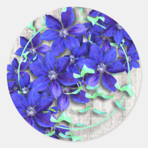 Sticker Rond La clématite pourpre de célébration fleurit des