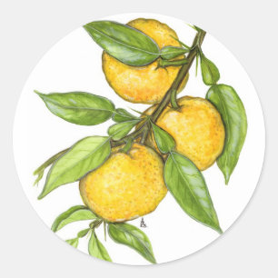 Sticker Rond La collection Yuzu