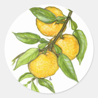 Sticker Rond La collection Yuzu