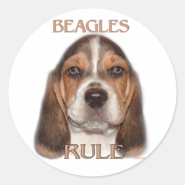 Sticker Rond La domination beagle ! (Devant)