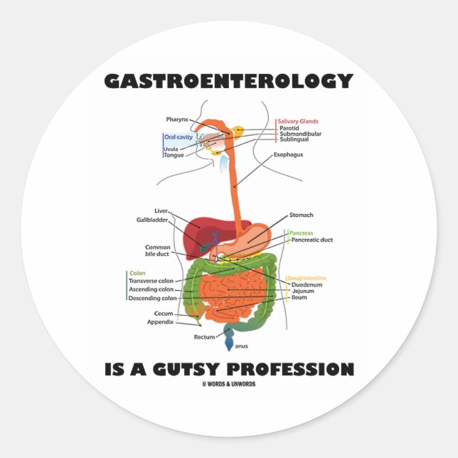 Sticker Rond La Gastroentérologie Est Une Profession Goutte (Devant)
