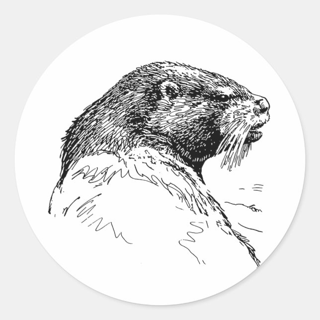STICKER ROND LA LOUTRE (Devant)