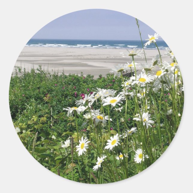 Sticker Rond "La marguerite estivale" (Devant)