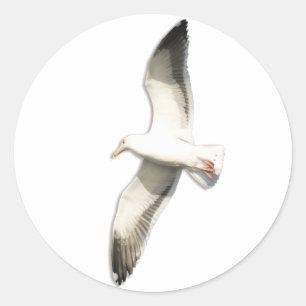 Sticker Rond La Mouette montante d'Helaine