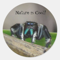 La nature est Cool !