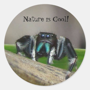 Sticker Rond La nature est Cool !