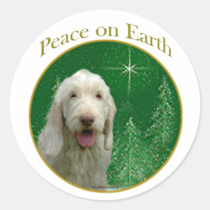 Sticker Rond La paix de Spinone Italiano
