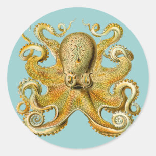 Sticker Rond La pieuvre d'Ernst Haeckel