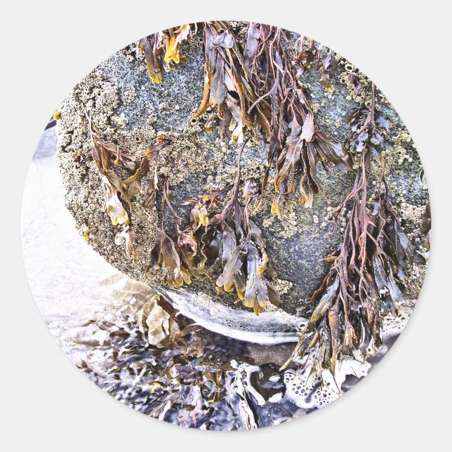 STICKER ROND LA PLAGE (Devant)