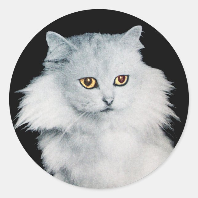 STICKER ROND LA REINE DES CHATS BLANCS (Devant)