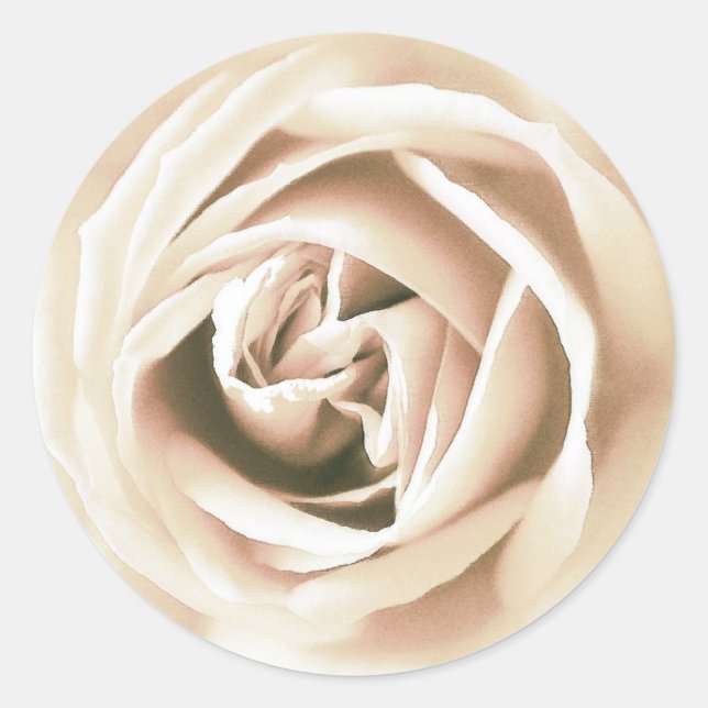 Sticker Rond La Rose blanche (Devant)