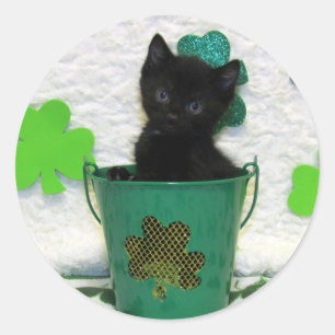 Sticker Rond La Saint-Patrick de Beau Jack - Chat / Chatons