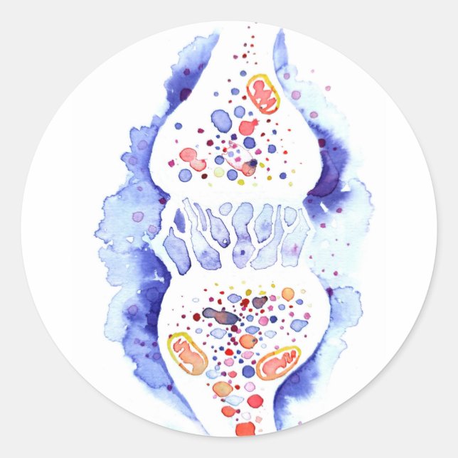 Sticker Rond La synapse et l'impulsion nerveuse impression de t (Devant)