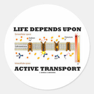 Sticker Rond La Vie Dépend Du Transport Actif (Pompe Na-K)