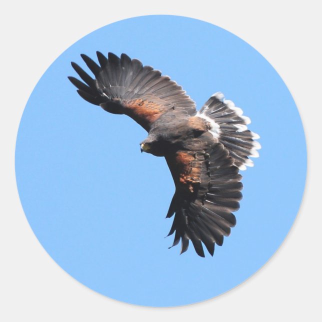 Sticker Rond La vue d'en haut (Devant)