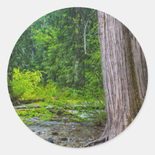 Sticker Rond La zone panoramique de Ross Creek Cedars