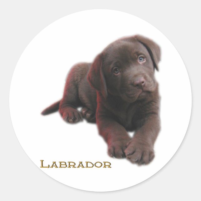 Sticker Rond Laboratoire de marionnettes (Devant)
