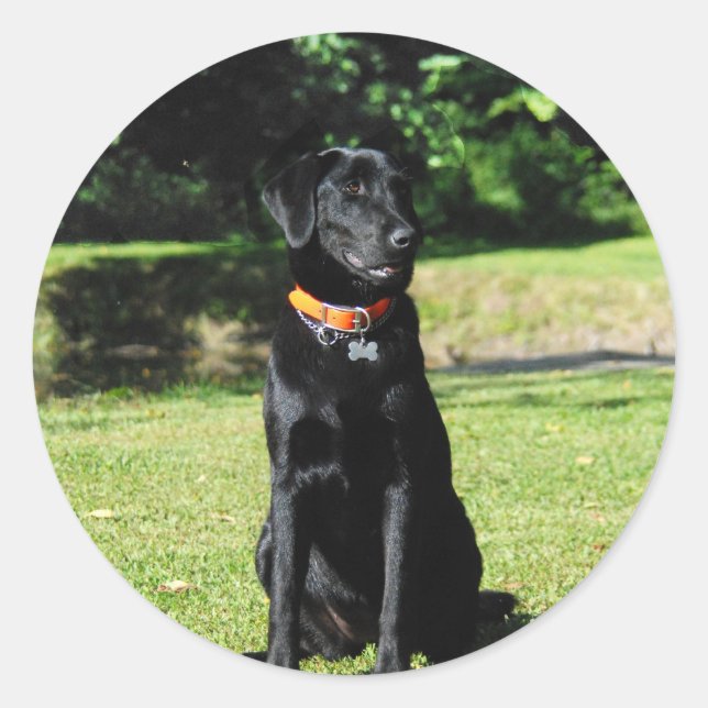 Sticker Rond Laboratoire noir (Devant)