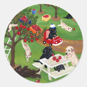 Sticker Rond Laboratoires Apple Farm