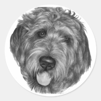 Sticker Rond Labradoodle