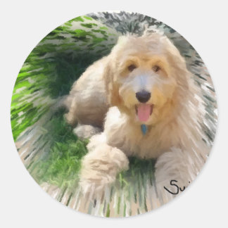 Sticker Rond Labradoodle Goldendoodle