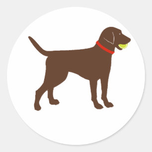 Sticker Rond labrador aller chercher, jeu de laboratoire de cho